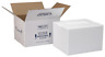 204c Polar Tech Thermo Chill Insulated Carton With Foam Shipper Small