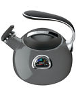 30108861490000 Cuisinart Perfectemp Tea Kettle 1000072673705
