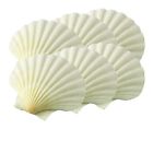 45679 Hic Harold Natural Cooking Baking Serving Sea Shells 781723456793