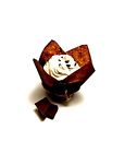 648499777418 Gam Family Brown Tulip 648499777418 Gam Family Brown Tulip