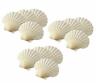 781723876782 Maine Man Baking Shells Inch Set Natural Seashell 781723876782 Maine Man Baking Shells Inch Set Natural Seashell