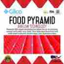 Bck35594 Gilco Home Products Silicone Food Pyramid Pan Non-stick Healthy Cooking Baking Mat Breaded Or Non 634030919256