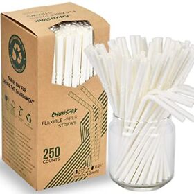 Bendable Paper Straws For Drinking Plain White 7 3/4 Inches 250 Count Great Bendable Paper Straws For Drinking Plain White 7 3/4 Inches 250 Count Great