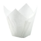 Fp175-50w-c Cibowares Large White Tulip 813797025381