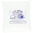 Ib 16 Polar Tech Camping Hiking Ice Brix Refrigerant 871802004202 Ib 16 Polar Tech Camping Hiking Ice Brix Refrigerant 871802004202