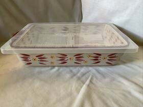 Ppp-sq-304531 Temptations 9x13 Serving Dish