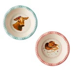 Two (2) Pioneer Woman Sweet Romance 4.75" Mini Pie Plates Stoneware. Fixed Price $26.97.