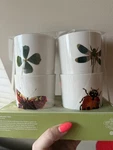 John Derian For Target Round Cups Set Of 4 Insect Clover Designs Dishwasher Safe. Fixed Price $25.00.