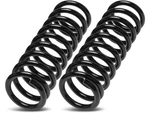 For 1980-1982, 1984 Buick Electra Coil Spring Set Front Apr 74736WPWS 1981 Wagon. Fixed Price $116.20.