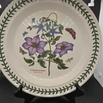Portmeirion Botanic Garden Fine Earthenware 10.5 Dinner Plate Clematis Florida. Fixed Price $23.25.