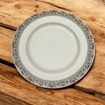 Royal Doulton Fireglow TC1080 Dinner Plate 10.5 Floral 1970S. Fixed Price $6.19.