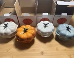 Le Creuset Of 4 Pumpkin Cocotte Stoneware Meringue Persimmon Cotton Sea Salt. Fixed Price $240.00.