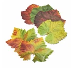 Parchment Paper Leaves For Cheese & Charcuterie 7 X Inches, Grape Variety. Fixed Price $30.99.