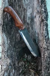 Citadel Jabali Fixed Blade DNH7 Knife Edc Rosewood Grip Sheath + Case Superb!. Fixed Price $239.00.