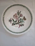 Portmeirion Botanic Garden 5/8" Soup/pasta/serving Bowl- Dog Rose. Fixed Price $19.99.