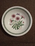 Portmeirion Botanic Garden 5/8" Soup/pasta/serving Bowl- Treasure Flower. Fixed Price $19.99.