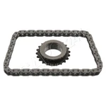 Febi Oil Pump Drive Chain Set For Citroen Peugeot Opel Vauxhall Ds Iii 3639531. Fixed Price $27.36.