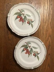 Noritake Royal Orchard Salad Plates. Fixed Price $15.00.