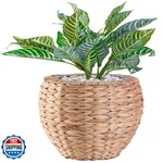 Vintiquewise Wicker Planter Basket Small Round Water Hyacinth Woven. Fixed Price $85.18.