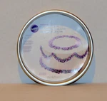 Wilton Round Aluminum Cake Pan #2105-2193. Fixed Price $10.50.