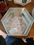 Wilton Performance Hexagon Cake Set, 4-PIECE. Fixed Price $45.00.