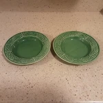 World Market/cost Plus Embossed Green Dragonfly Large Rim Soup Bowl 9 Rare. Fixed Price $78.85.