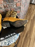 El General 1901 Men's 10M Ostrich Leather Skin Handmade Western Cowboy Boots. Fixed Price $110.00.