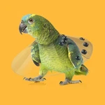 Kvp Saf-t-shield E-collars For Birds 12" Diameter (4.75" 5.5"). Fixed Price $17.99.