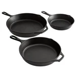 Lodge Seasoned Classic Cast Iron Skillet Frying Pan With Handle, Black. Fixed Price $27.89.