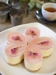 Silikomart SF027 Petit Four 15-CAVITY Round Silicone Mold (silicoflex). Fixed Price $21.00.