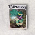 Temptations Irish Jig Needle Point Kit J. L. Craft Designs #8312 St. Patrick's. Fixed Price $11.67.