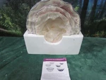 Temp-tations Red Floral Lace Nesting Bowls Set Of 3 Ruffled Edged Mixing. Fixed Price $40.00.