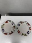 Furio 11 Dinner Plates Cajun Food Theme Green Band Beautiful Set Of 2 Good Cond. Fixed Price $27.49.