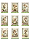 Cute Farmyard Baby Animals Designer Multi-size Set Cotton Fabric Quilt Blocks. Fixed Price $13.50.
