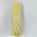 Mini Tulip Baking Cups Yellow Bulk Pack Of 300 Cupcake Liners. Fixed Price $10.00.