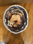 Vintage Wilton Jungle Lion Cake Pan Mold 2105-2095 From 1994. Fixed Price $9.00.