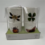 John Derian For Target Round Cups Set Of 4 Insect Clover Designs Dishwasher Safe. Fixed Price $27.00.