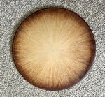 Pampered Chef Family Heritage Stoneware Large 15" Round Pizza Baking. Fixed Price $40.00.
